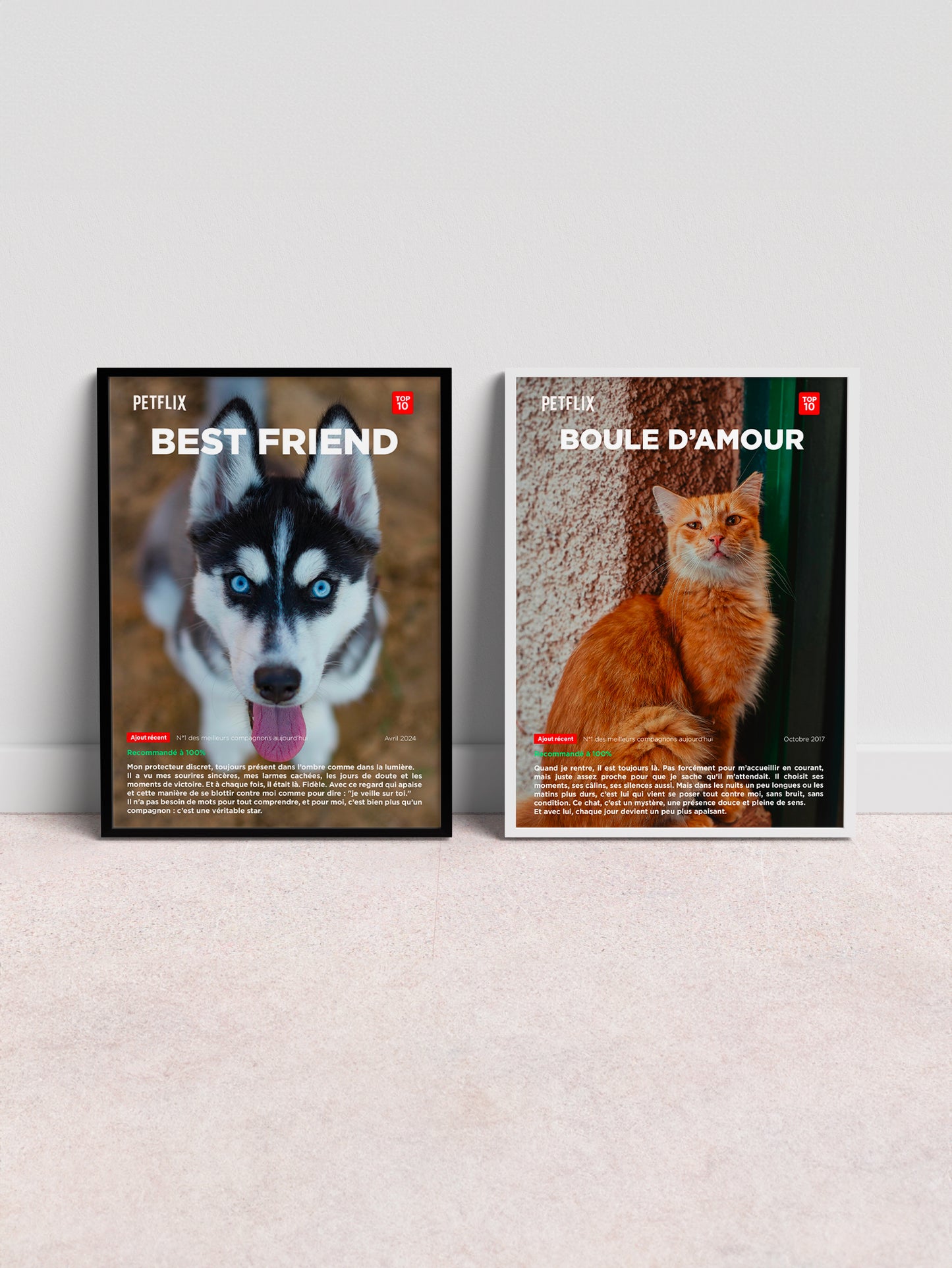 Affiche My Pet