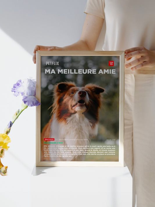 Affiche My Pet